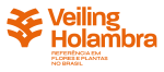Veiling